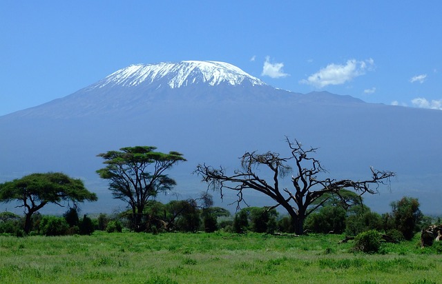 mount-kilimanjaro-1025146_640