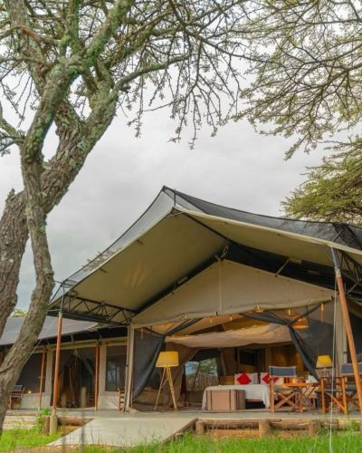 IMG-20260222-WA0001(1)